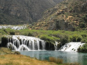 IMG_0138