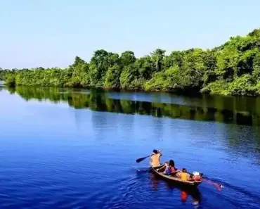 Tours surcando el Rio Amazonas y rio Napo Peru 7 dias