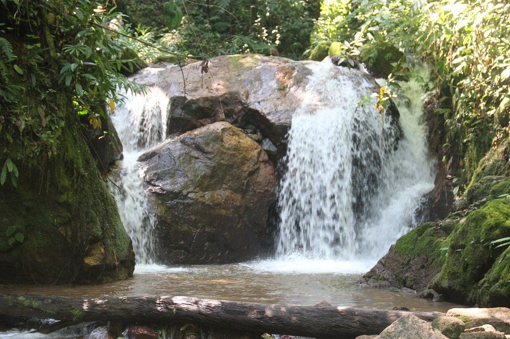 Tour Selva central fiestas patrias ,Oxapampa ,Tarma 3 días 2021