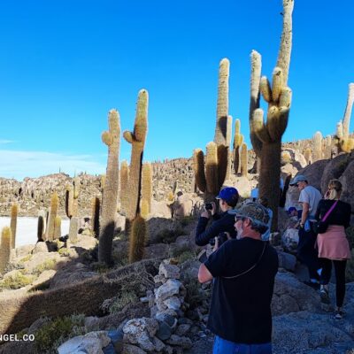 tours  salar de  uyuni 2023